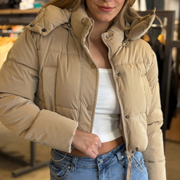 [IMPCAM05] CAMPERA CORTA MALVA